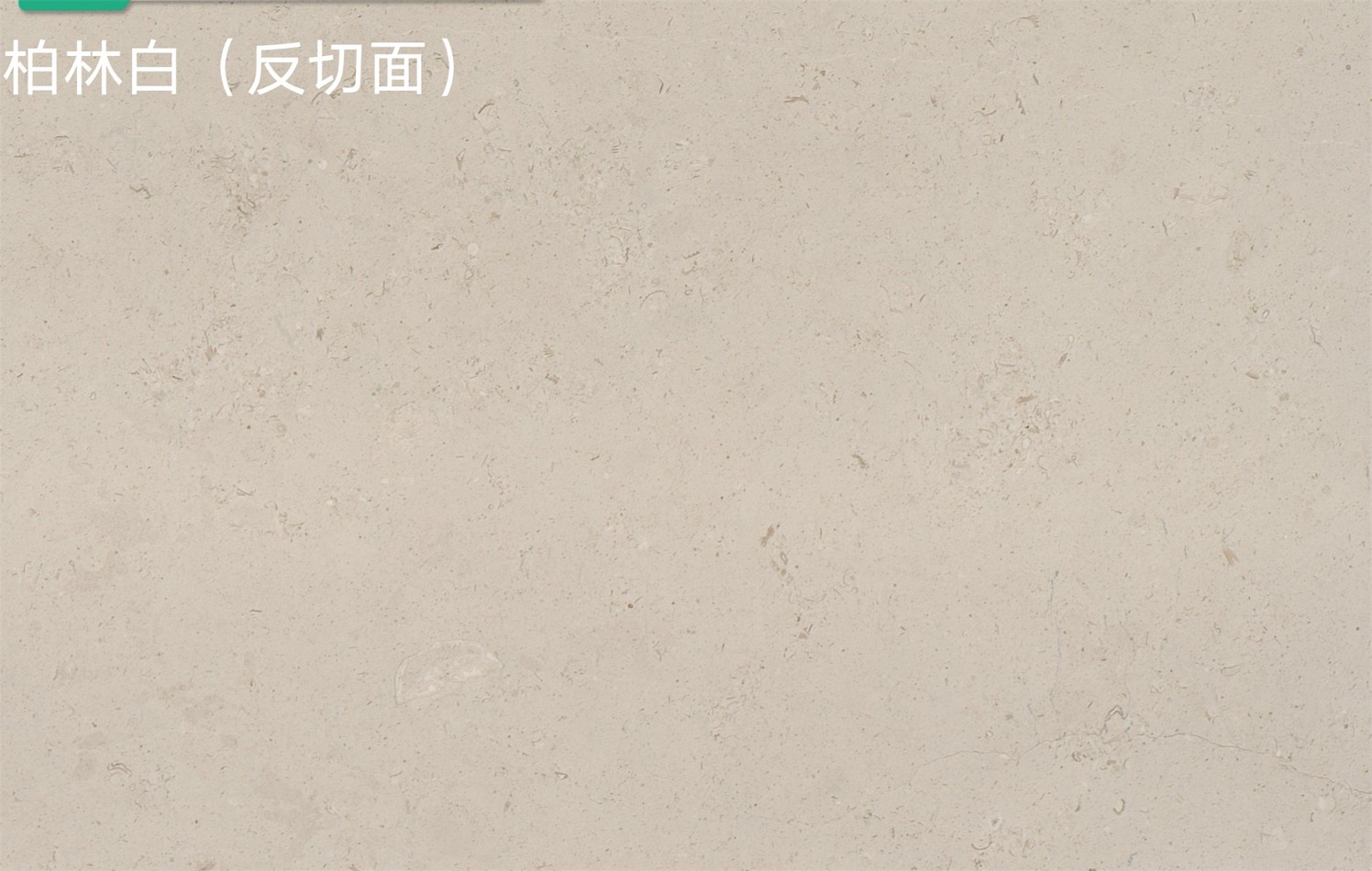 柏林白
