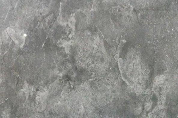 碧丽雅灰