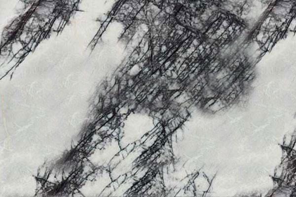 冰玉（天堂鸟）