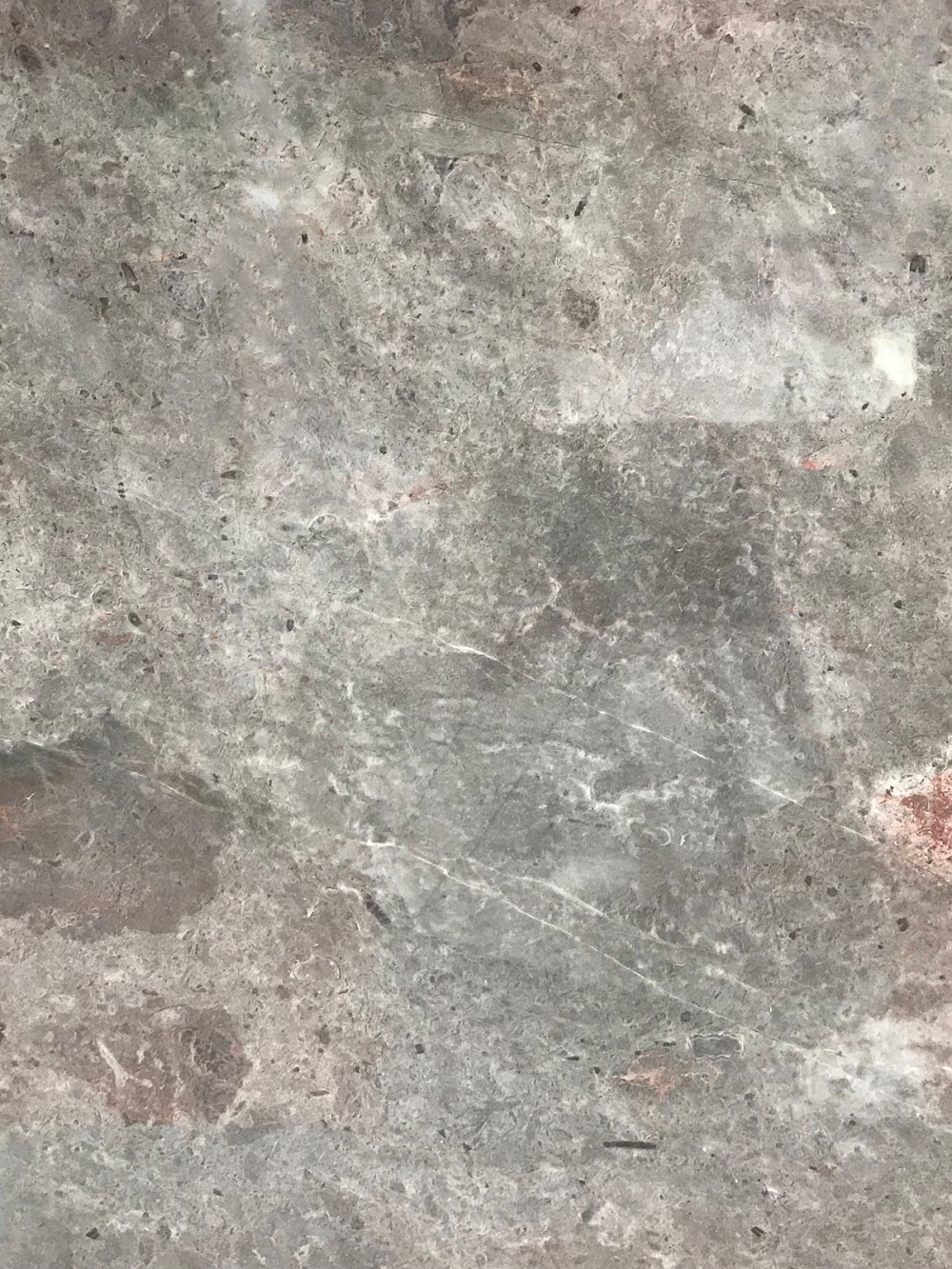 楚灰