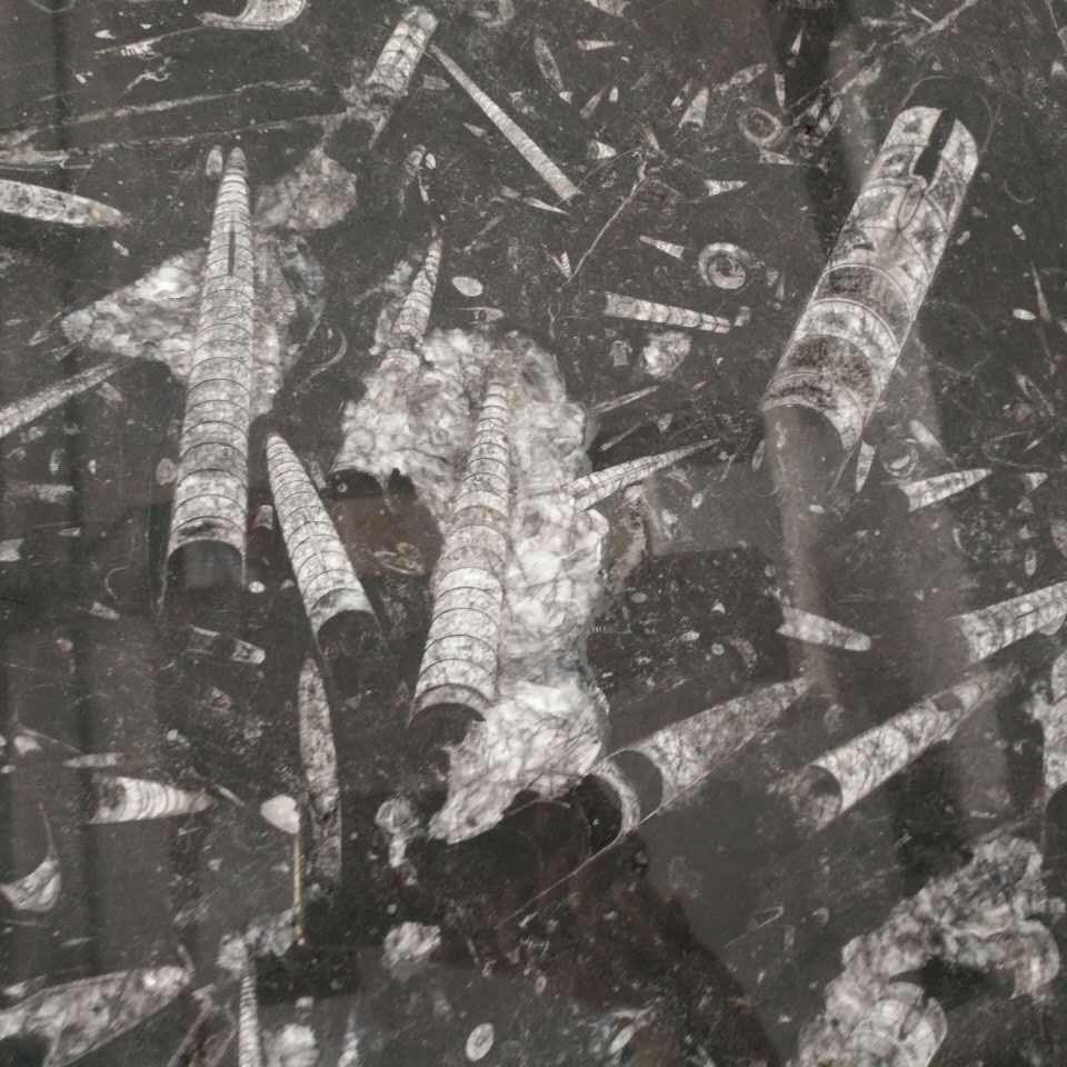 海底世界