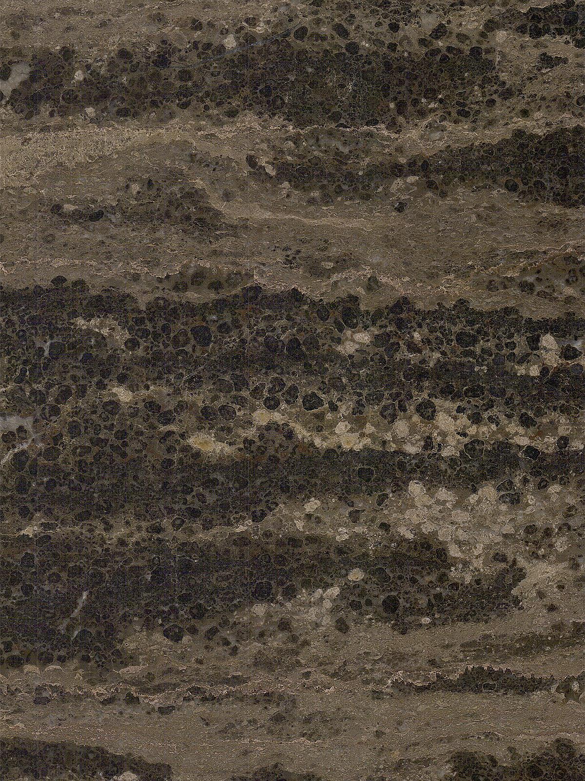 黄金海岸