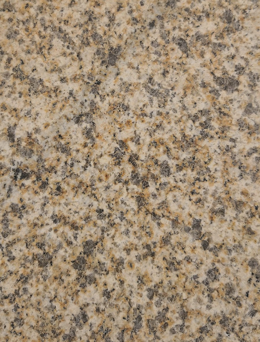 黄金麻(河南)