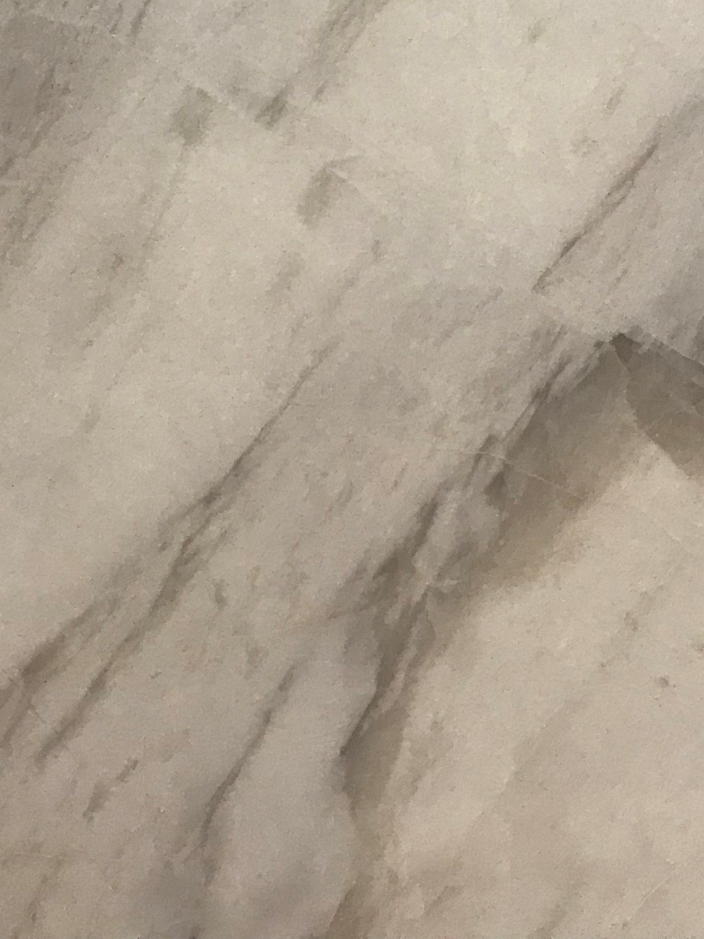 寒梅傲雪