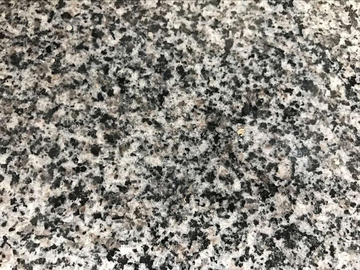 海南金刚