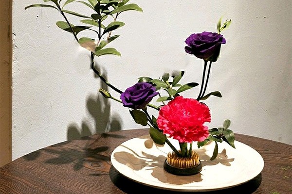 花盆