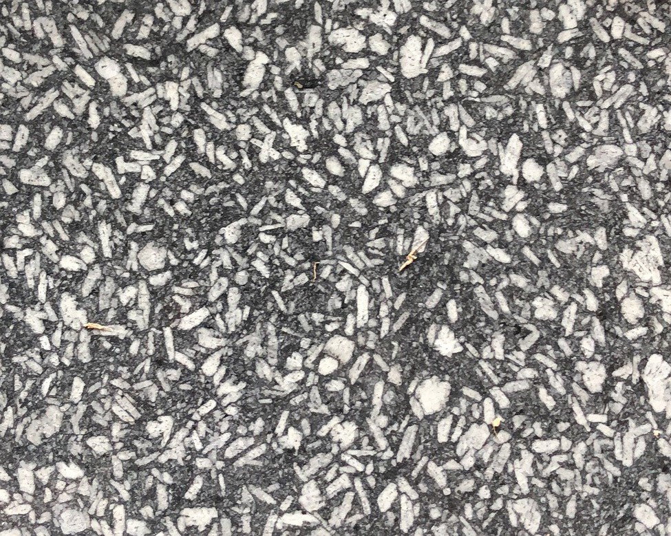 灰珍珠