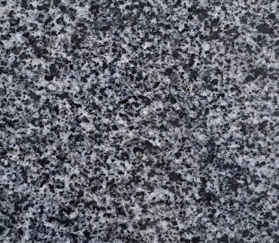 金点灰麻
