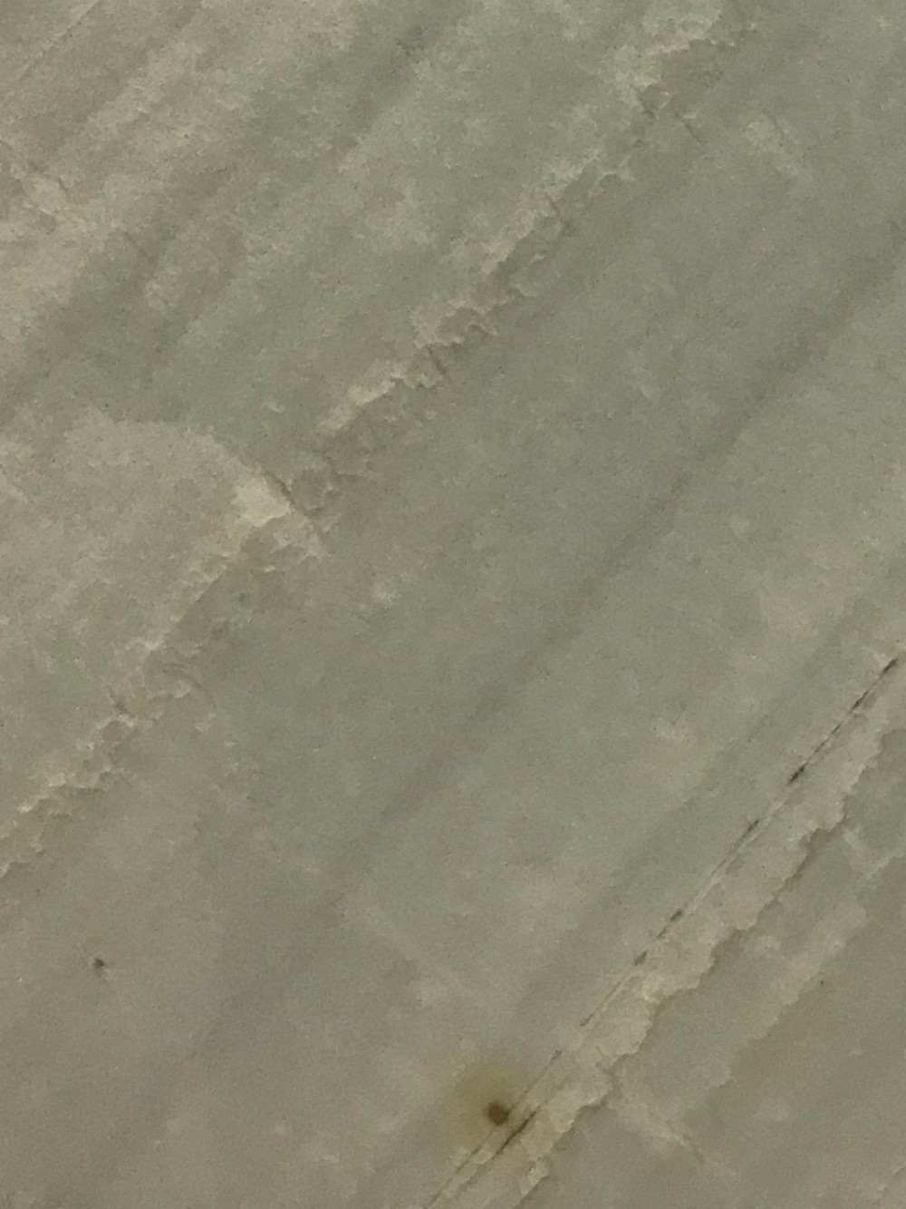 加勒比海洋