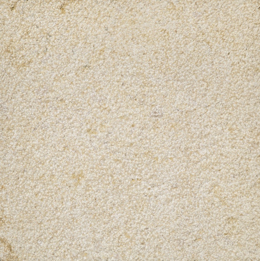 金龙米黄（荔枝面）