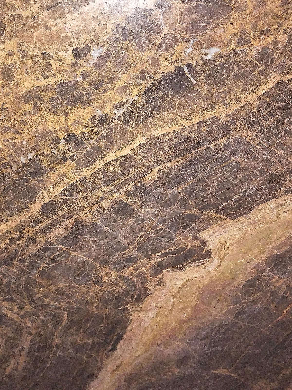 金龙木纹