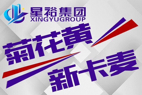 江西菊花黄/新卡麦