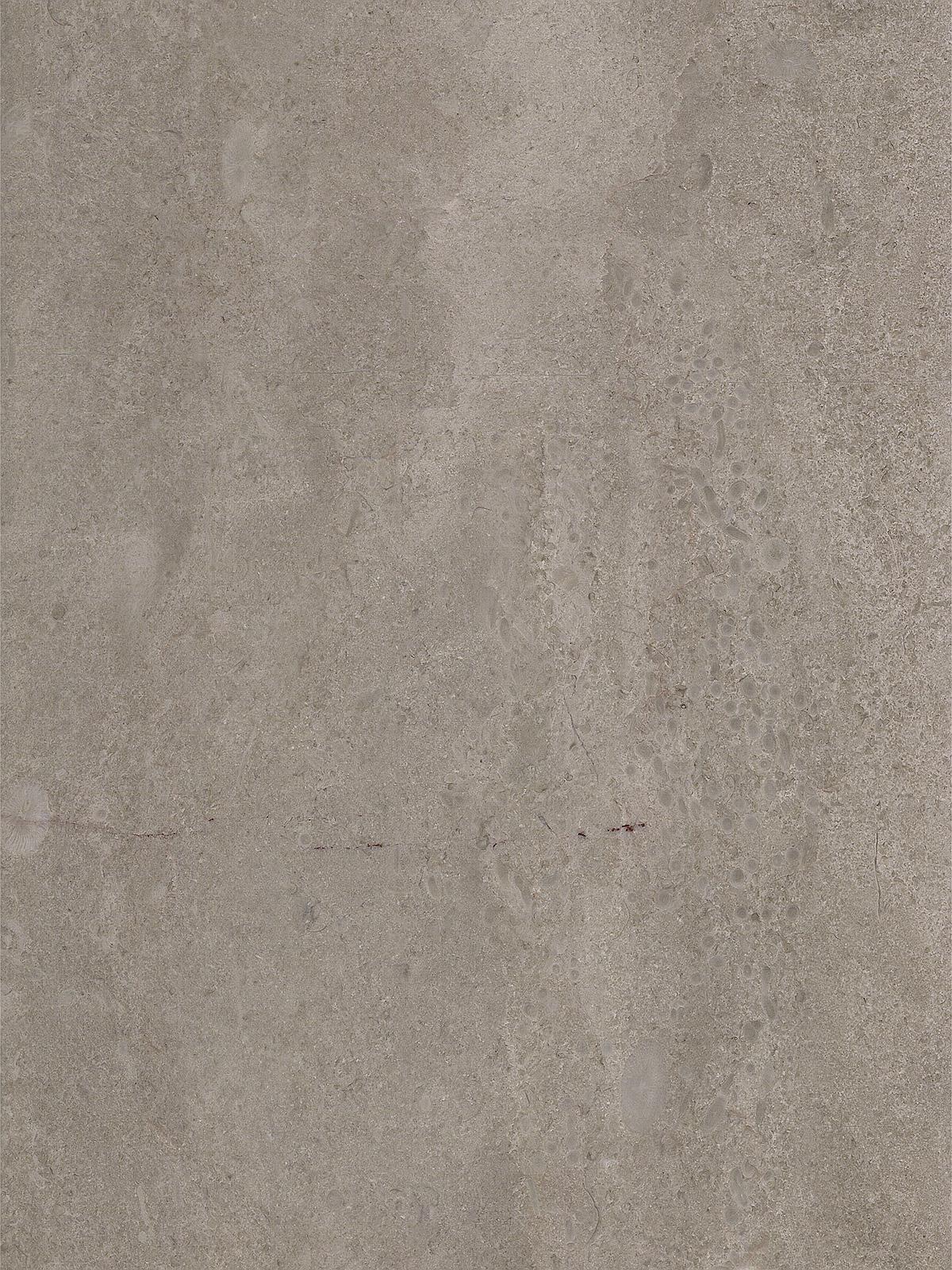 凯撒灰(国际灰)