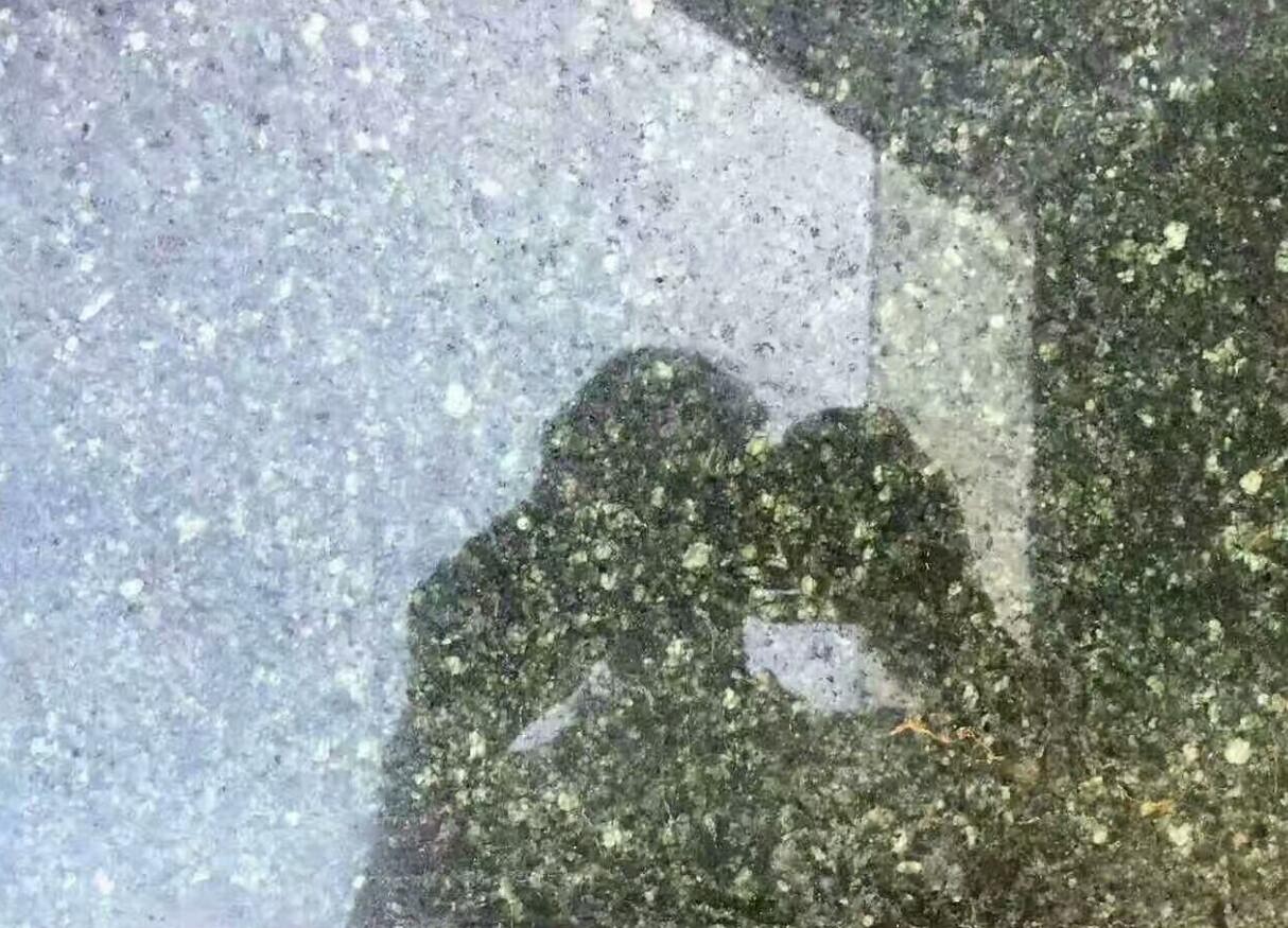 绿冰花