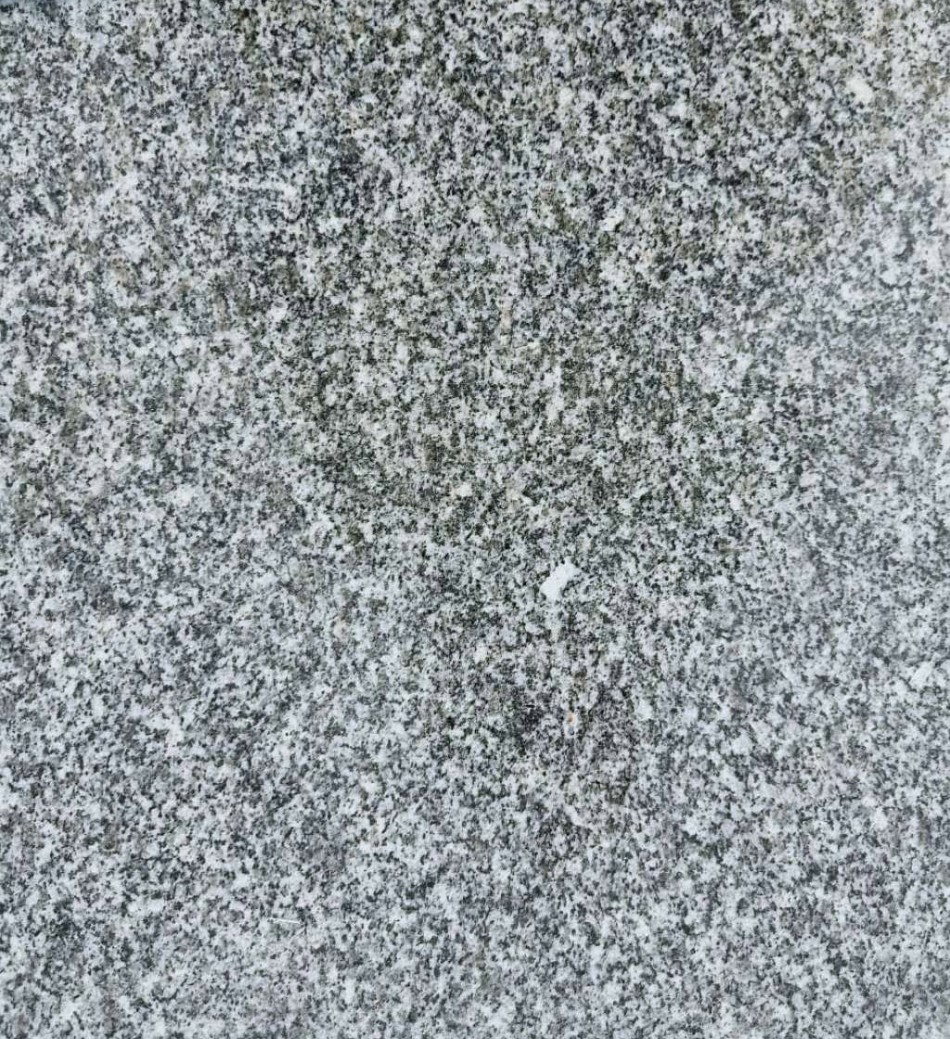 龙江灰