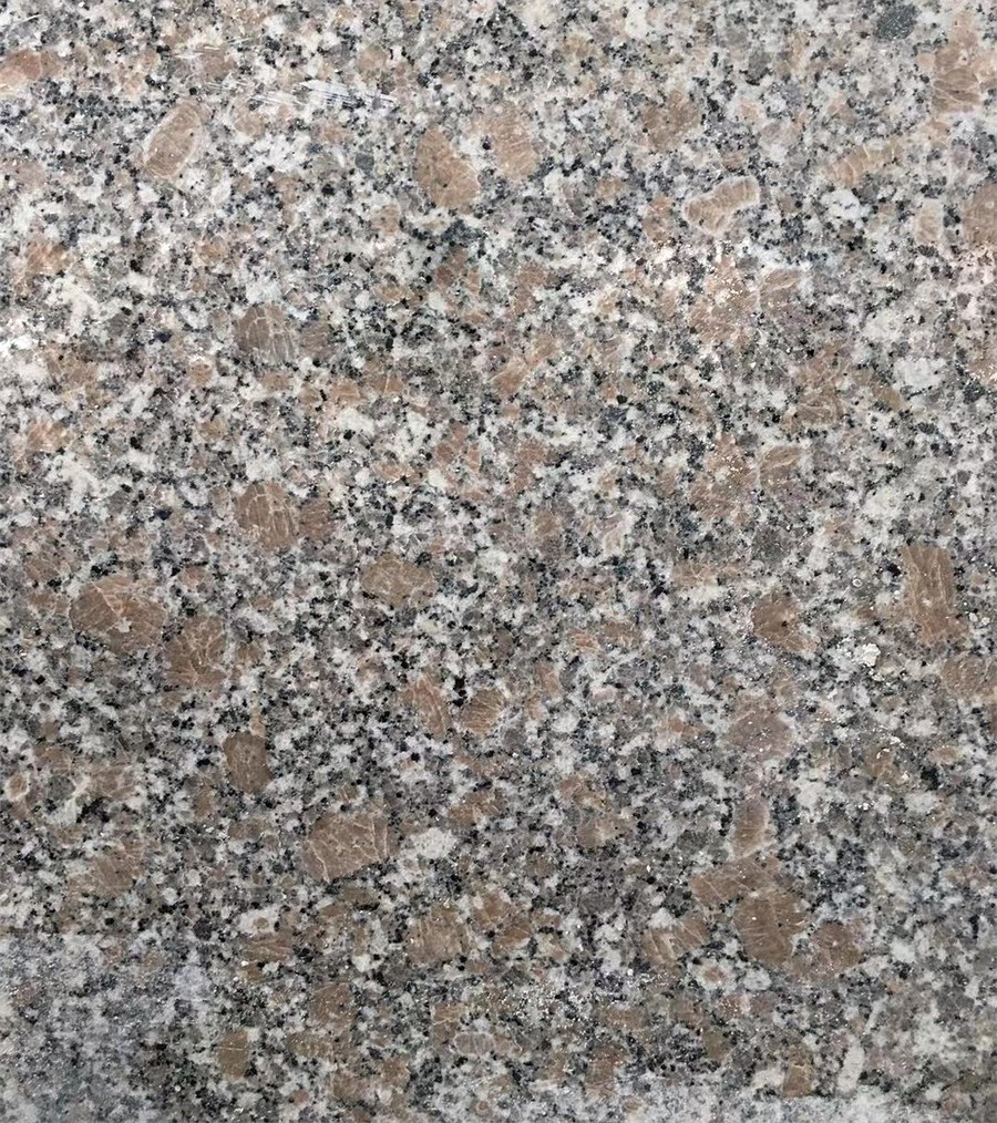 梅花红