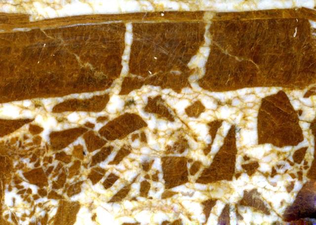 梦幻棕/新白金沙