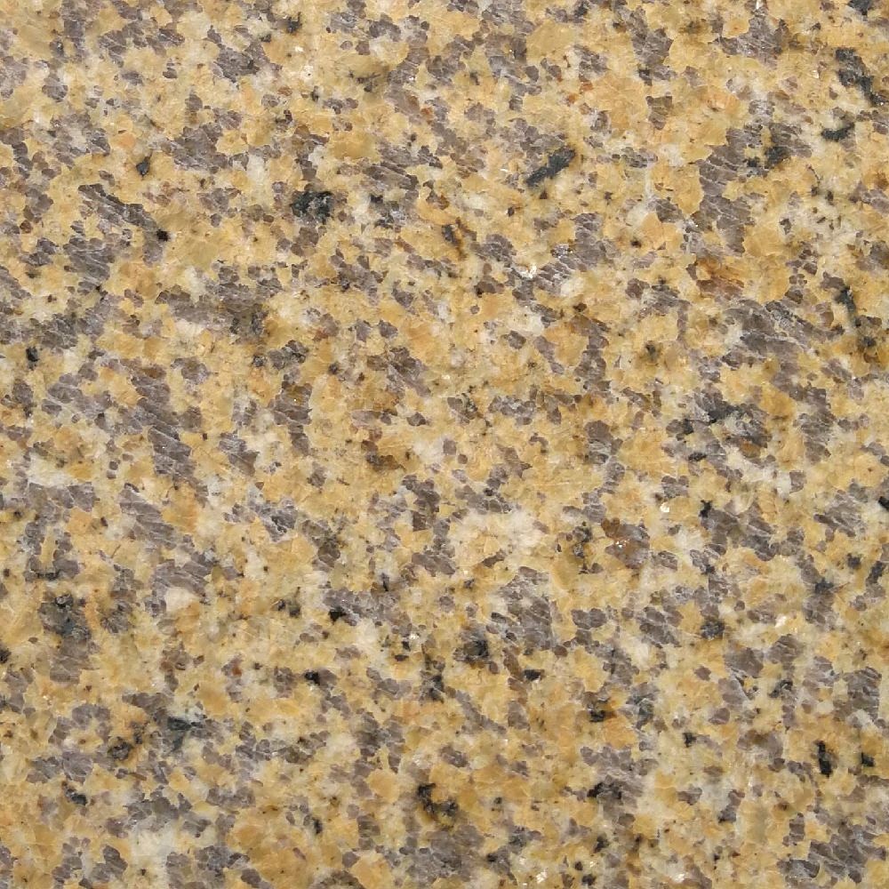 蒲昌金钻麻