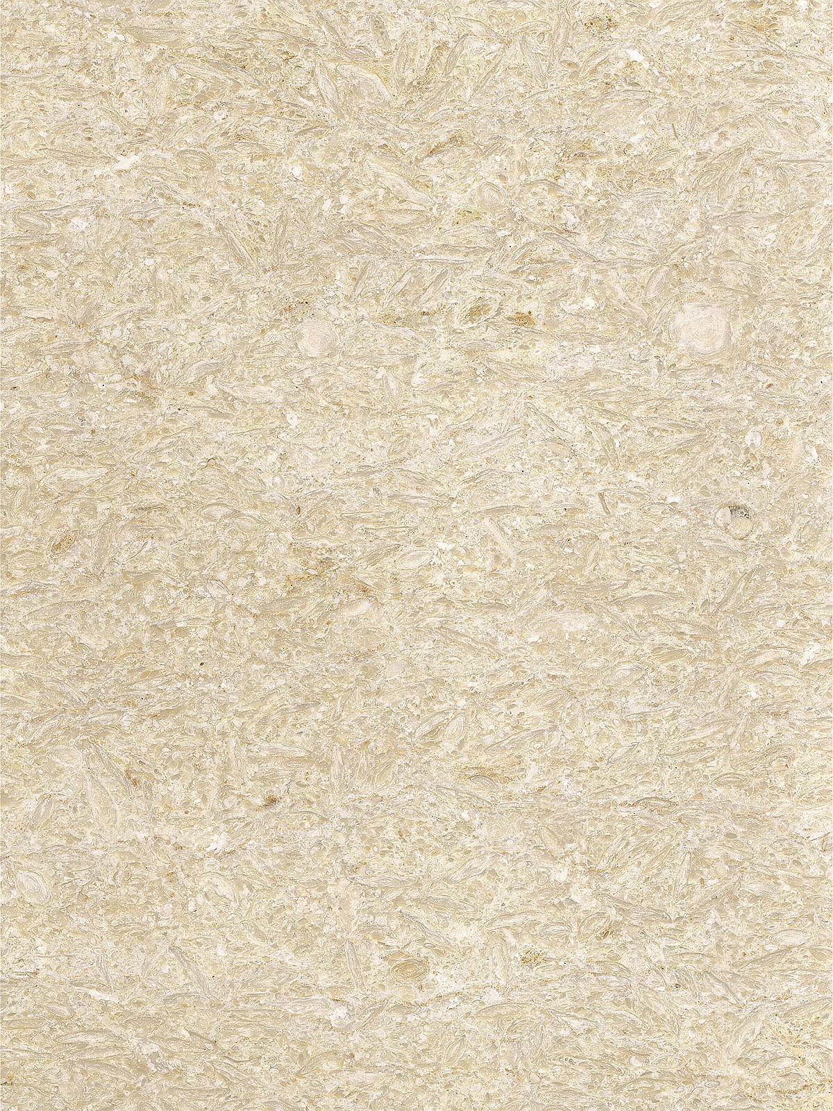 撒哈玛(法国金花/法国小金花)