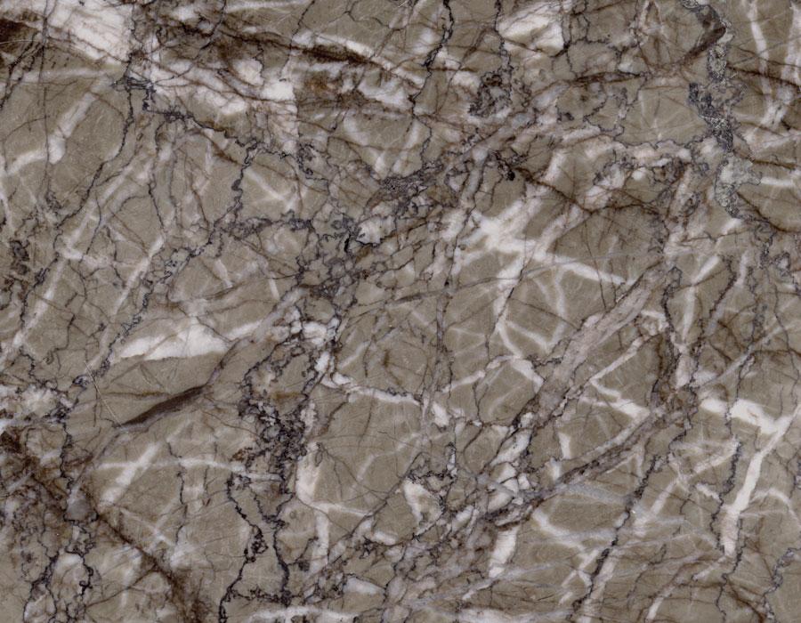 特菲力灰(巴菲特)