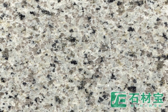 泰山白麻