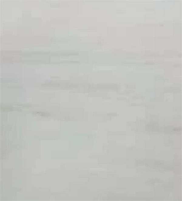 威尼斯白