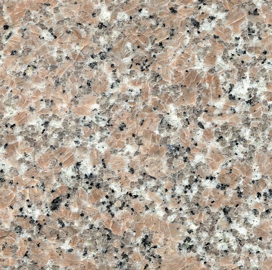 新664