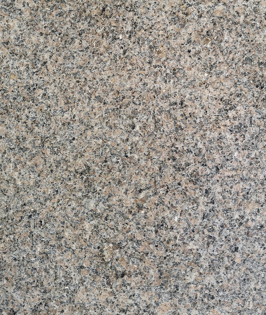 新啡小钻