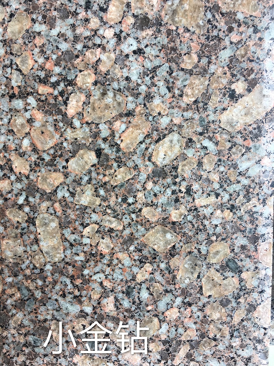 小金钻