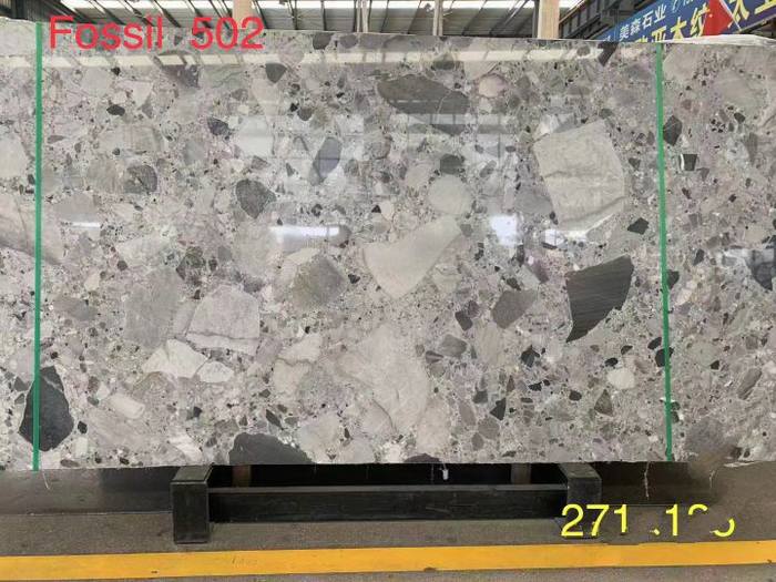 大量精品 化石灰（浅底）可比克（浅