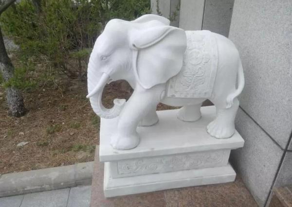石雕大象_石大象(图片) 石雕大象_石大象(图片)图片