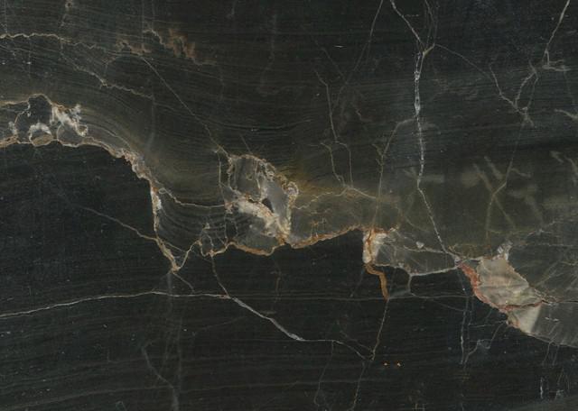 断层化石图片
