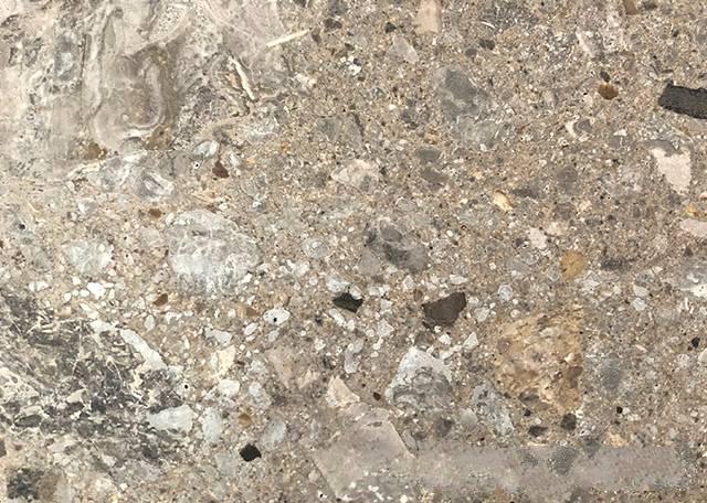 意大利米兰灰 （化石灰）图片